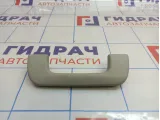 Ручка внутренняя потолочная Audi A3 (8V)