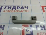 Ручка внутренняя потолочная Audi A3 (8V)