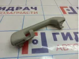 Ручка внутренняя потолочная Audi A3 (8V)