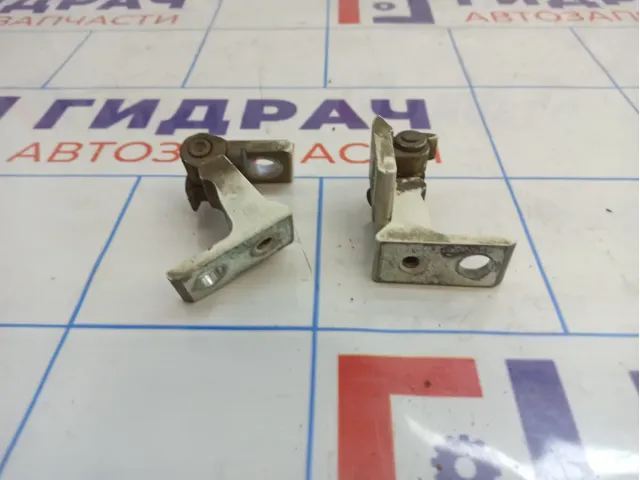 Петли двери передней левой Audi A3 (8V)