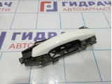 Ручка двери наружная левая Audi A3 (8V)