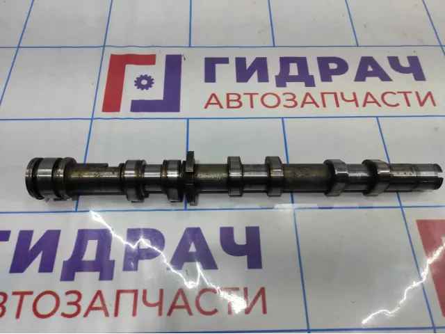 Распредвал выпускной правый Audi A6 (С6) 06E109102AK.