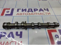 Распредвал выпускной левый Audi A6 (С6) 06E109102AL.