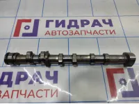 Распредвал впускной левый Audi A6 (С6) 06E109101BB.