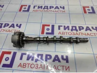 Распредвал выпускной правый Audi A6 (С6) 06E109102AK. С механизмом изменения фаз ГРМ.