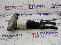 Амортизатор передний левый Audi Q7 (4L) 7L8616039B