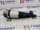 Амортизатор задний левый Audi Q7 (4L) 7L8616019A
