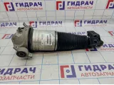 Амортизатор задний правый Audi Q7 (4L) 7L8616020A
