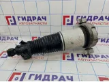 Амортизатор задний правый Audi Q7 (4L) 7L8616020A