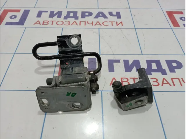 Петли двери задней правой Audi Q7 (4L)