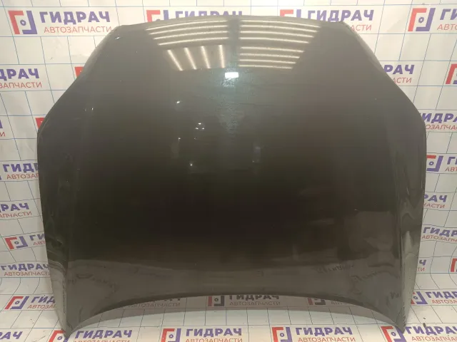 Капот Audi Q7 (4L) 4L0823029A
