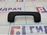 Ручка внутренняя потолочная передняя Audi Q7 (4L) 8P0857607K4PK