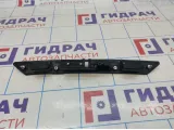 Накладка двери багажника Audi Q7 (4L) 4L08275743FZ