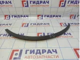 Накладка переднего крыла левого Audi Q7 (4L) 4L0853717BGRU