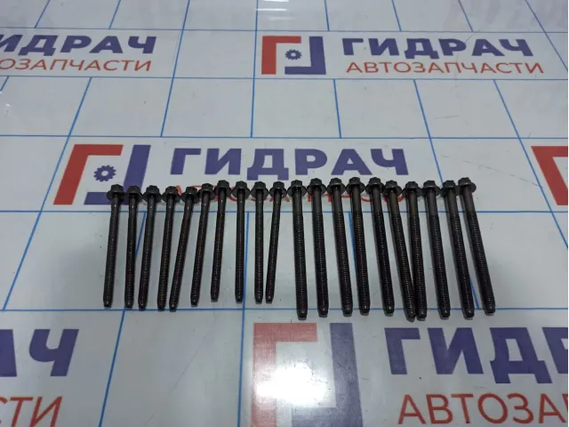 Болты коленвала Audi Q7 (4L) 079103039A