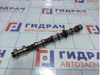 Распредвал выпускной Audi Q7 (4L) 079109102CG