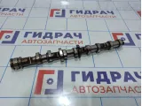 Распредвал впускной Audi Q7 (4L) 079109101ED