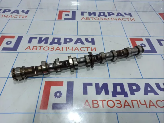 Распредвал впускной Audi Q7 (4L) 079109101ED