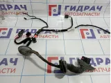 Проводка (коса) двери задней левой Audi Q7 (4L) 4L0971687J