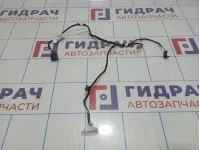 Проводка (коса) двери задней левой Audi Q7 (4L) 4L0971693A