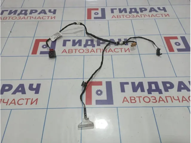 Проводка (коса) двери задней левой Audi Q7 (4L) 4L0971693A