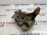 Кулак поворотный задний правый Audi Q7 (4L) 7L8505436