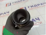 Патрубок воздушного фильтра Audi A3 (8P) 03F129656F