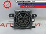 Динамик в торпедо центральный Audi A4 8E0035411C.