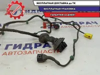 Проводка передней двери правой Audi A4 8E1971029AH.
