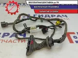 Проводка передней левой двери Audi A4 8E1971029AA.