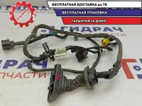 Проводка передней левой двери Audi A4 8E1971029AA.