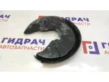 Пыльник тормозного диска задний правый Audi A4 8E0615612J.