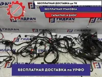 Проводка подкапотная (моторная) Audi A4 8E1971072QS.