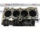 Блок двигателя Audi A4 06B103101H.