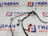 Проводка двери задняя левая Audi A4 8K0971687AE