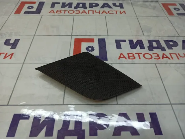 Решетка динамика в торпедо левая Audi A4 8T0857227