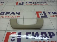 Ручка потолочная Audi A4