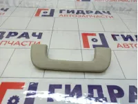 Ручка потолочная Audi A4