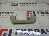 Ручка потолочная Audi A4