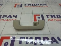 Ручка потолочная Audi A4