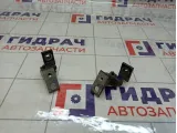 Петли двери передней левой Audi A4