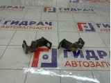 Петли двери передней левой Audi A4