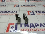 Петли двери задней правой Audi A4
