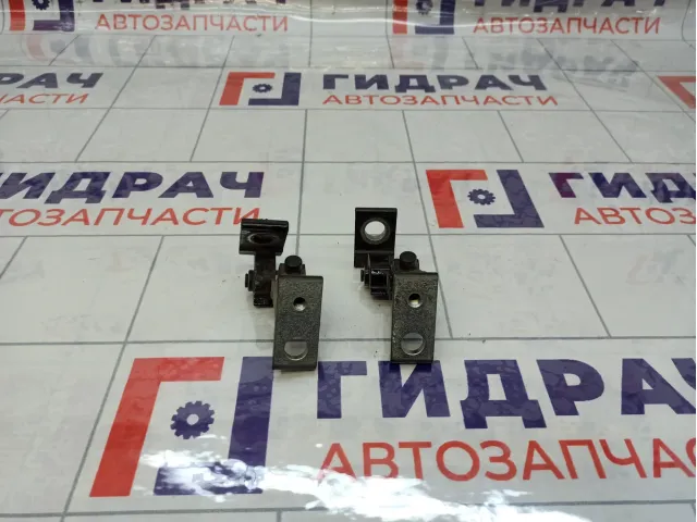 Петли двери задней правой Audi A4