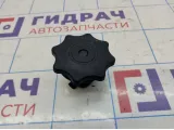 Болт крепления запасного колеса Audi A4 (B8) 8K0804899