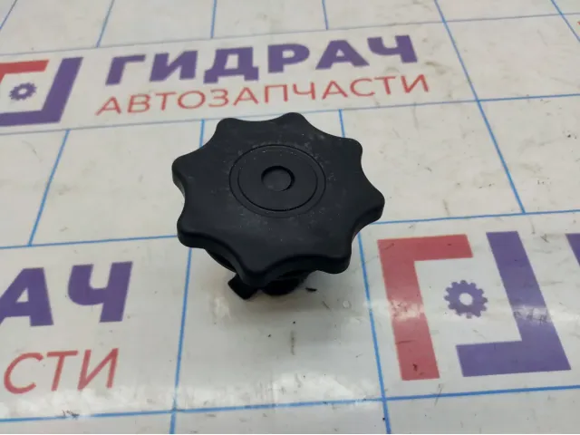 Болт крепления запасного колеса Audi A4 (B8) 8K0804899