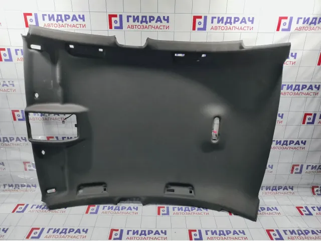 Обшивка потолка Audi A4 (B8) 8K5867501V48