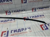Молдинг крыши левый Audi A4 (B8) 8K5853703F1P9