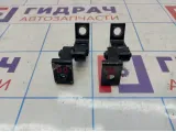 Петли двери задней правой Audi A4 (B8)