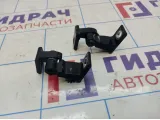 Петли двери задней правой Audi A4 (B8)